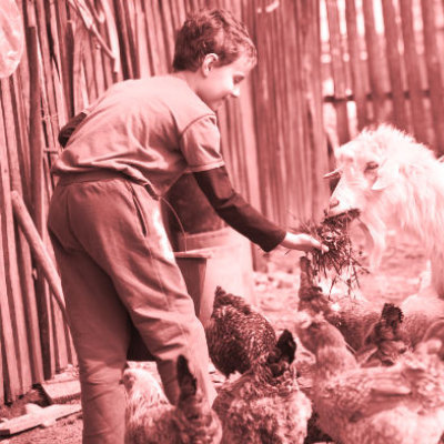 私のドイツ農場での仕事体験を表す写真